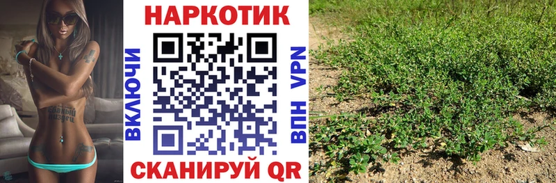 Купить наркотики цена Ивантеевка Альфа ПВП  Гашиш  мега как зайти  МАРИХУАНА 