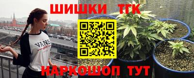 амф Кулебаки
