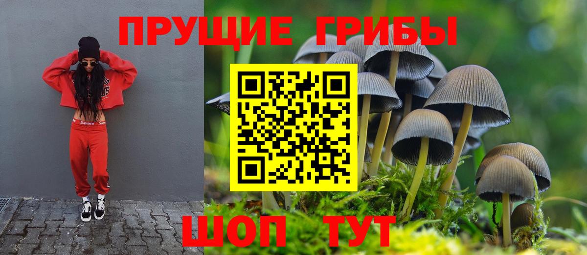 Ивантеевка  Псилоцибиновые грибы мицелий  Вход с VPN  где продают наркотики  Галлюциногенные грибы ЛСД 